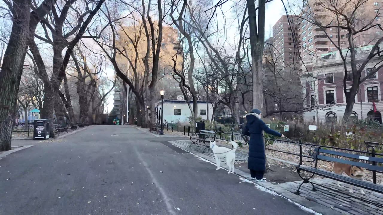 🗽 NYC Live 🔴 Walk (Chat on YouTube)