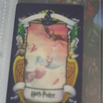 Adding Japanese Chocolate Frog Cards To The Collection!