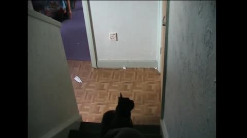 Spots break in