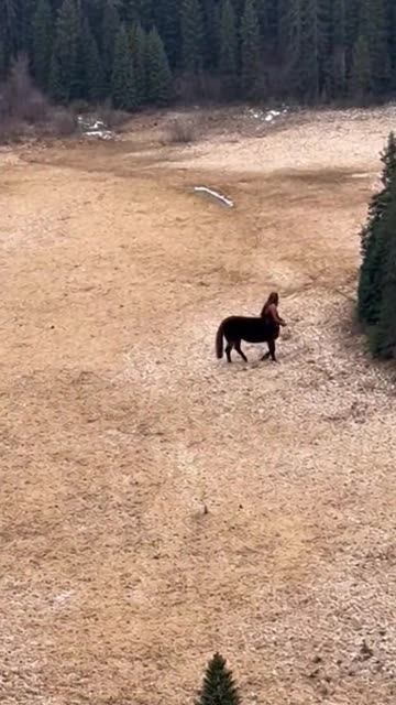 I believed centaurs were nothing more than a myth.