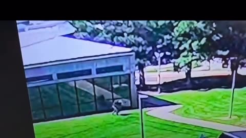 They said the rifle was found in the woods...
