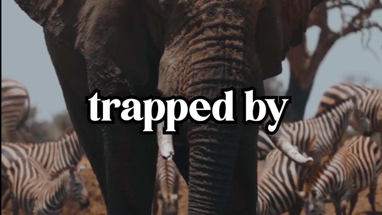 The Truth That Ends Suffering: Lama Dawa's Commentary