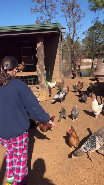 Leftovers are the Best Treats