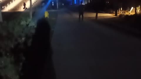 VID 20241026 062815