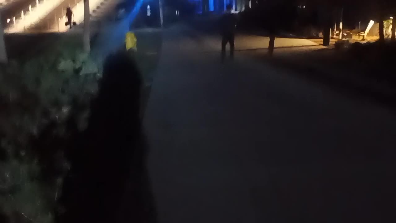 VID 20241026 062815