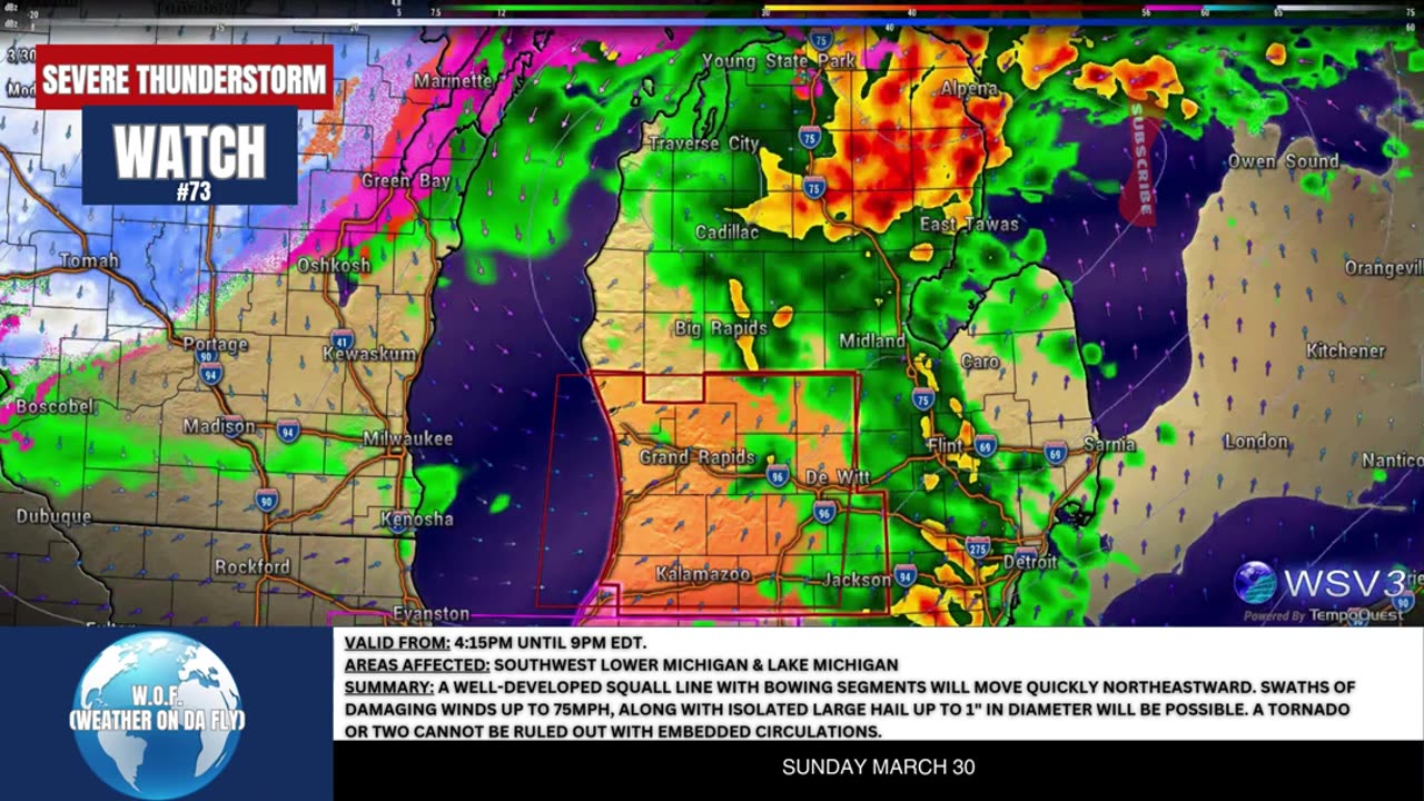 🌩️ Severe Thunderstorm Watch #73: MI & LM Threat! 3/30/25 #shorts #weatheralert