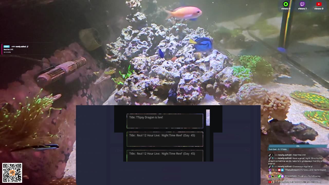 24/7 Real Live Reef Stream