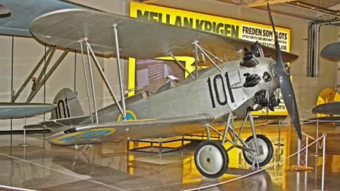 AEKKEA-RAAB R-29 | Forgotten Fighter of the 1930s