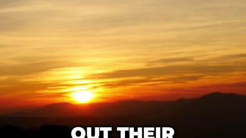 They Broke Every Law to Kill an Innocent Man