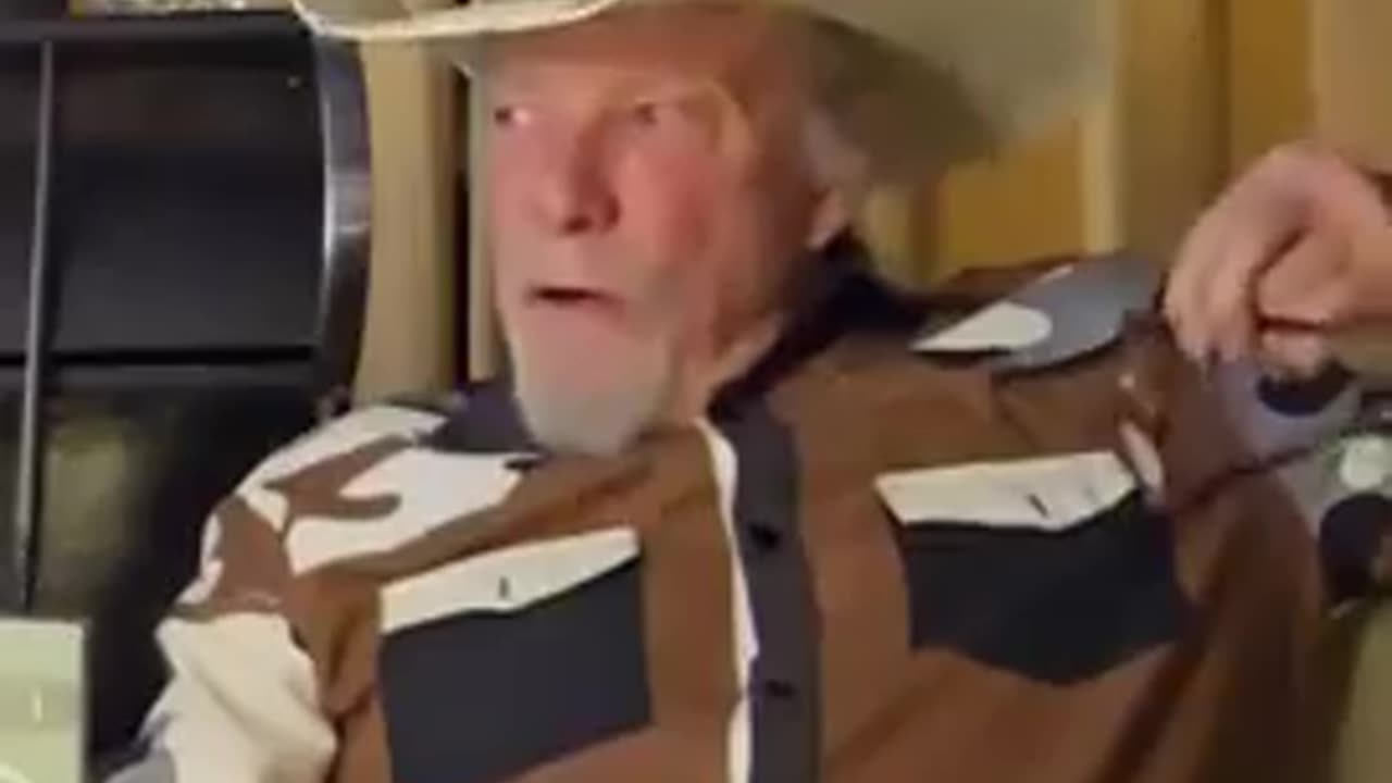 Killer Bees in Canada