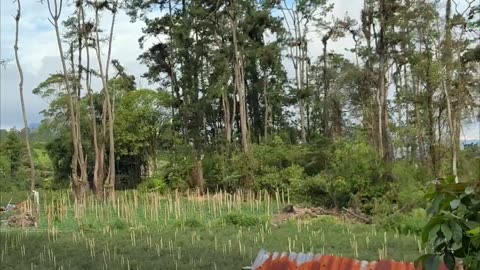 Part 8: Cooking Local – Traditional Meals in the Wild