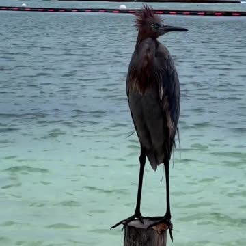 Searching for the weekend 😊