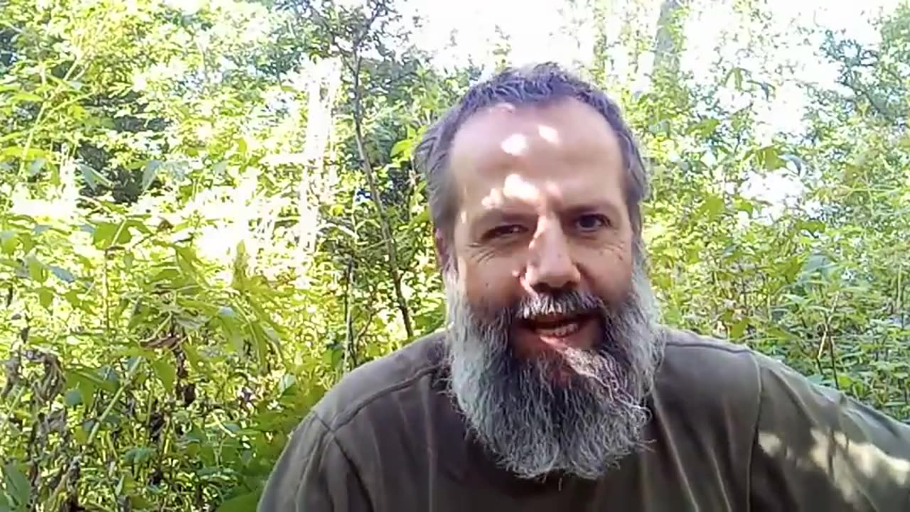 Fluch und Segen der Menschheit - Bereshit