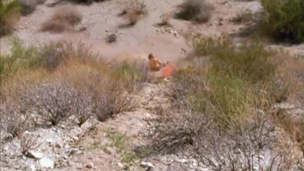 "Point Last Seen" Starring Linda Hamilton