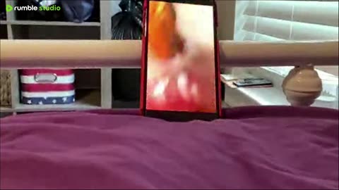The Mickey, Goofy and Donald and Mario and Luigi react to the funny movies