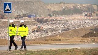 Serbian scientists experiment with mealworms to degrade polystyrene