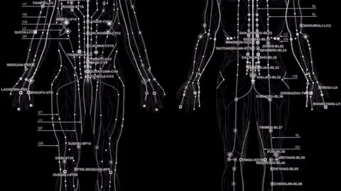 Everything is Alive Driven by ELECTROMAGNETISM