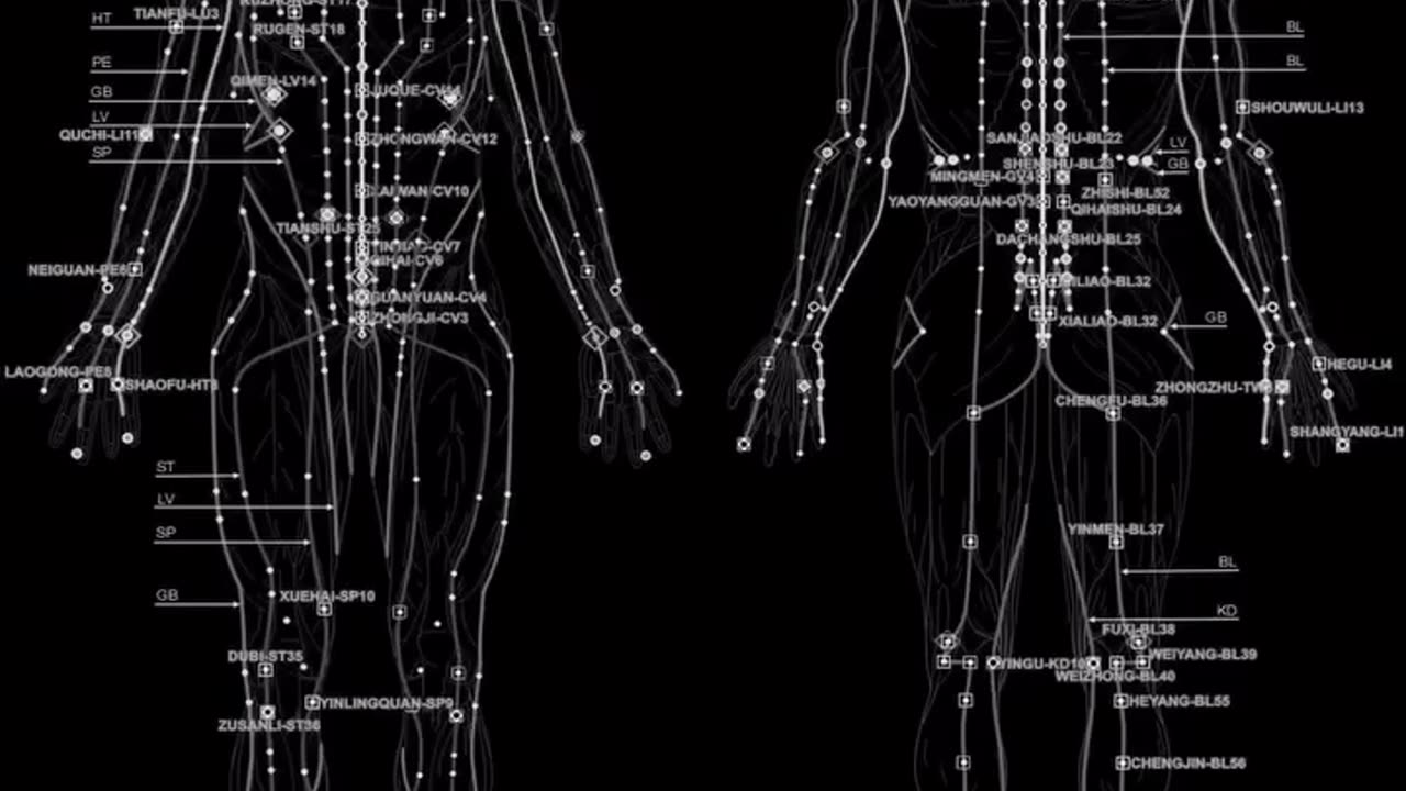 Everything is Alive Driven by ELECTROMAGNETISM