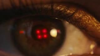 AI Pets Take Over the Neighborhood – Cute Turns Apocalyptic