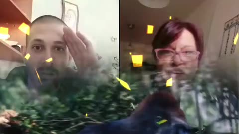 TikTok gorila