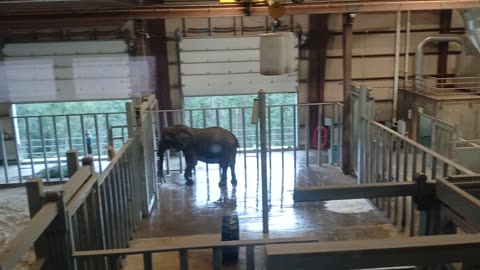 Cheyenne Mountain Zoo Part 20