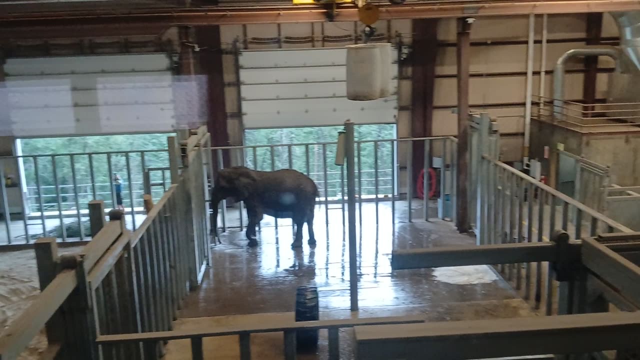 Cheyenne Mountain Zoo Part 20