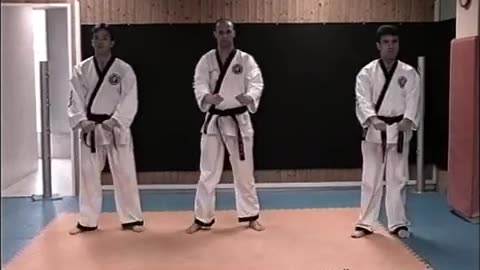 Sin Moo Hapkido