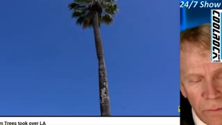 Freedom Friday - Just Say NO to Digital and the Vax