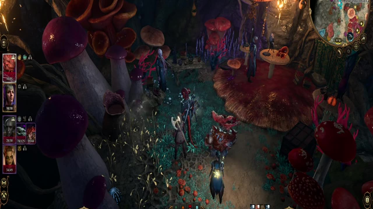 Baldur's Gate 3(Good)-Squidman Do Your Magic