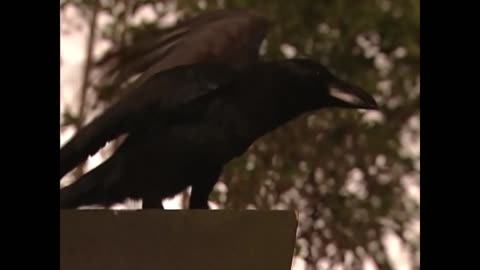 Usagi & Mamoru sailor moon live action act 3 Usagi gets scared