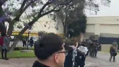 Summer of Love 2.0? Protests in LA over ICE deportations