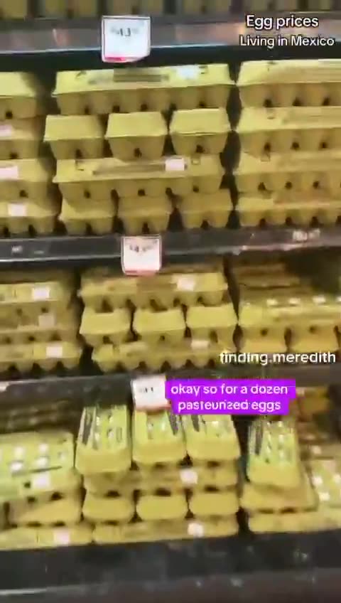 It Looks Like The H5N1 Bird Flu Avoided Mexico For Some Reason