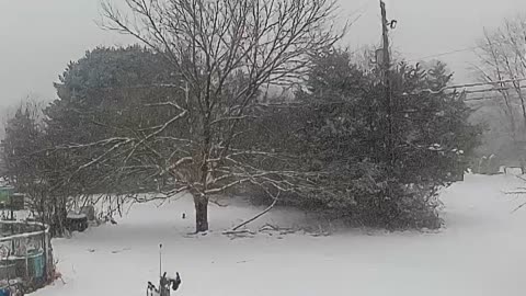 First Real Snowfall of 2025 – Christmas Season Starts NOW ❄️🎄