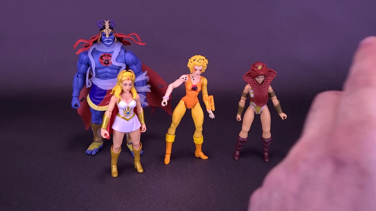 Mattel Masters Of The Universe X ThunderCats Origins Cheetara Figure Review