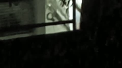 What the f**k is that