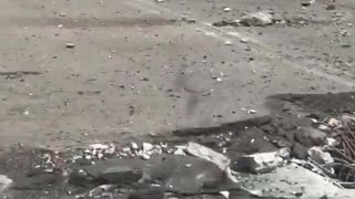 👵🌉 Ukraine Russia War | Babushka Rescued by Volunteers on Bridge | RCF