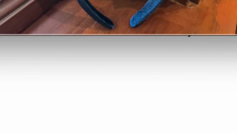 Walt Disney World Epcot Italian Minnie Mouse Ears Headband #shorts