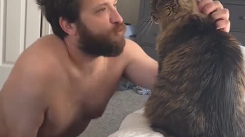 All you need to know is just how to be a cat