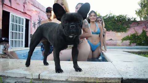 Hot girls swimming pool butt bikini shake