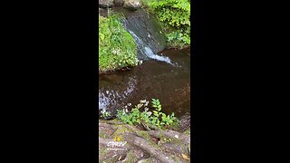 TOP OF THE WATERFALL!