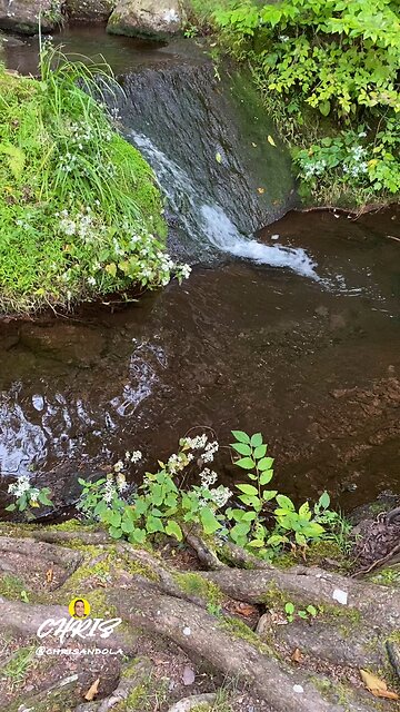 TOP OF THE WATERFALL!