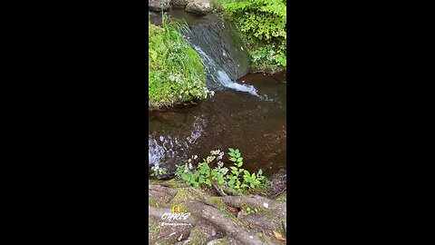 TOP OF THE WATERFALL!