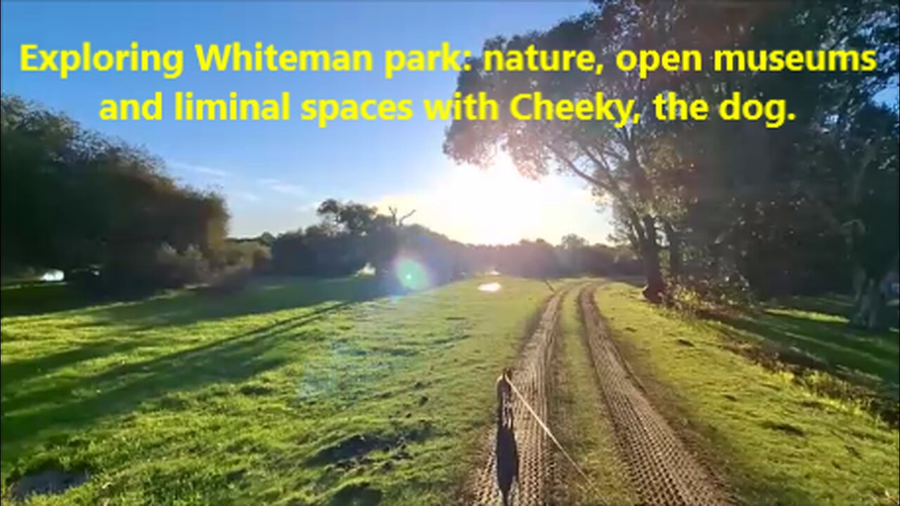 Exploring Whiteman Park: nature, open museums, and liminal spaces with Cheeky, the dog.
