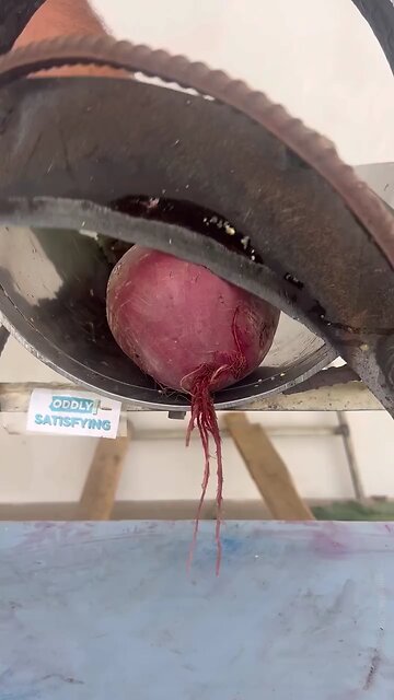 Oddly Satisfying Cutting ASMR 😍 #oddlysatisfying #experiment #asmr