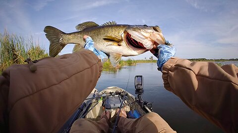 Largemouth Bass Action on King Lake | Welcome to Itch2Fish!