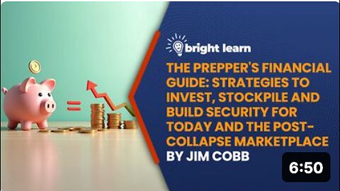 BrightLearn - The Prepper's Financial Guide: Strategies to Invest, Stockpile and Build Security for Today and the Post-Collapse Marketplace by Jim Cobb