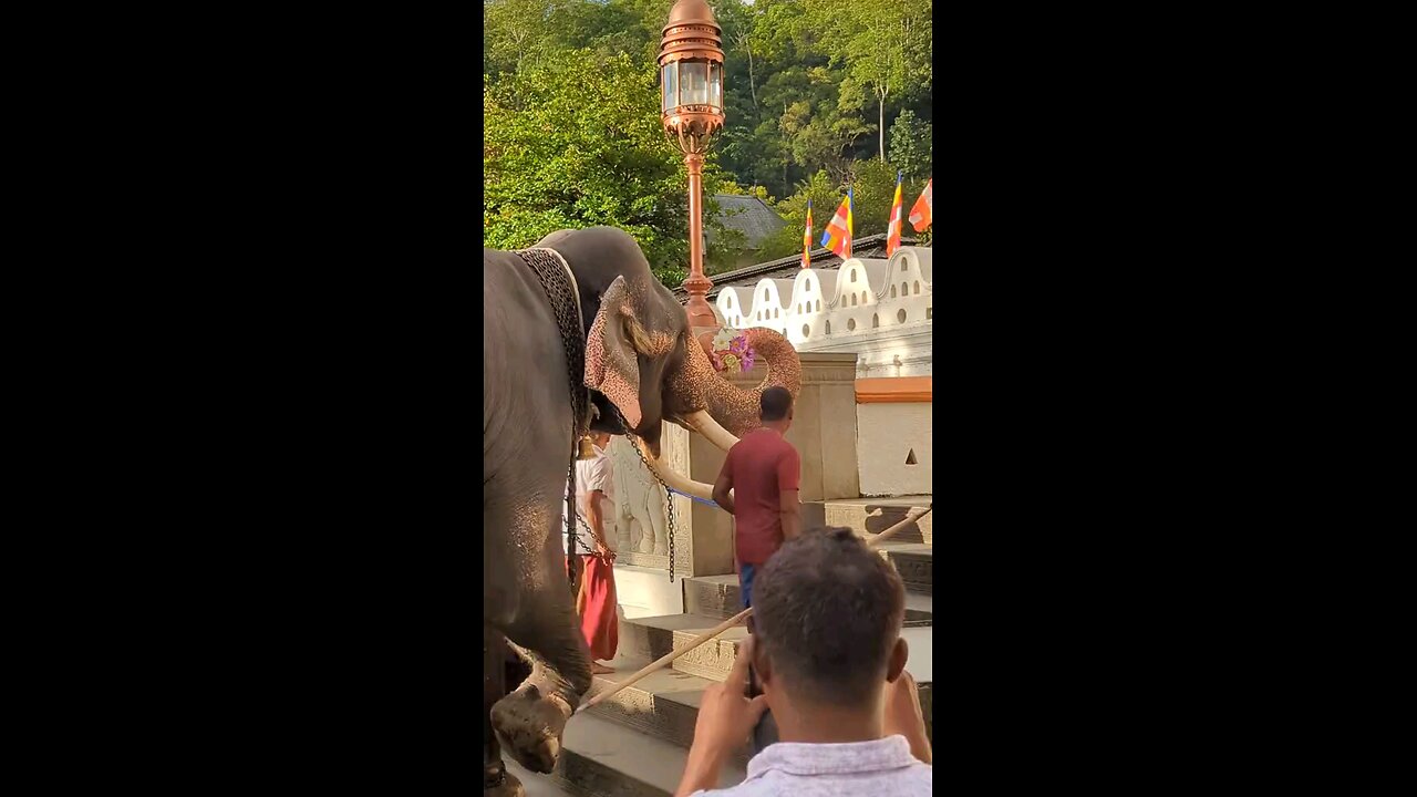 Welcome to Sri Lanka 🇱🇰