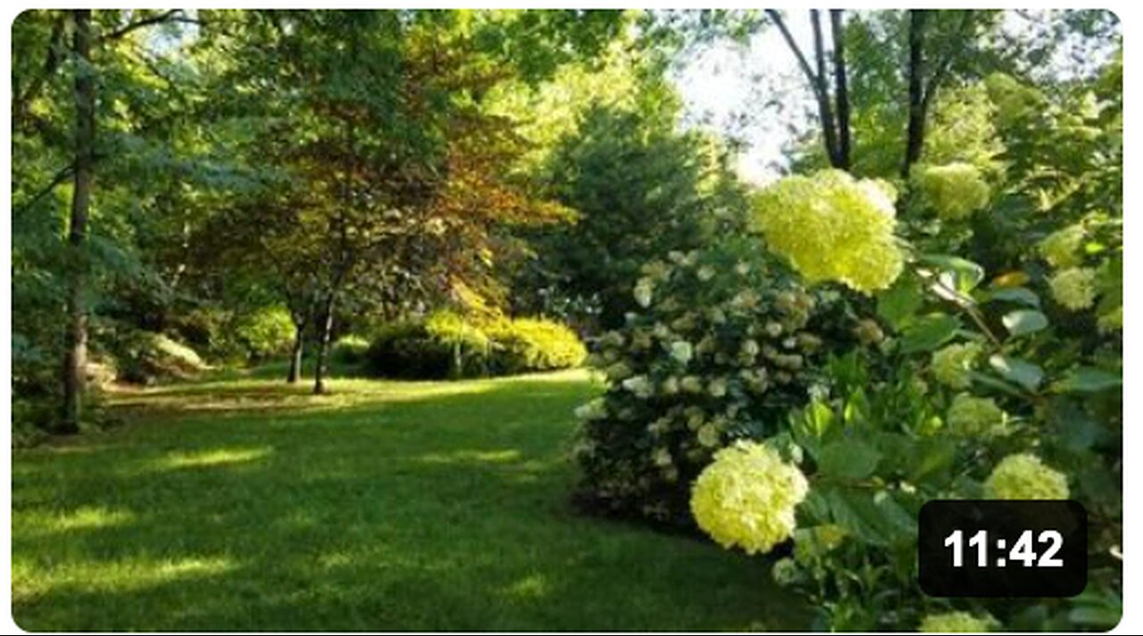 The "Vaccinated" Don't Have the Luxury If It's Possibly An 8-10 Year Mass Culling