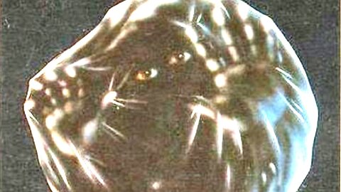 The Brood-Oliver Reed, Samantha Eggar, Art Hindle, Cindy Hinds-1979 IMDb 6.8/10