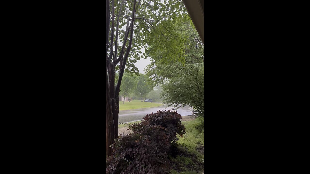 Stormy Easter Monday ⛈️🐣